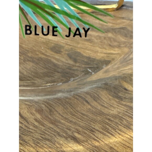 Birds painted On Clear Glass Plates Robin Goldfinch Blue Jay Tufted Titmouse - Picture 12 of 15